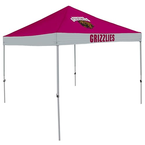 South Carolina Gamecocks Canopy Tent - 9x9 ft Water-Resistant Outdoor Shelter with Steel Frame
