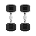 RitFit Rubber Coated Hex Dumbbell Set 2 x 20 lbs for Home Gym Strength Training