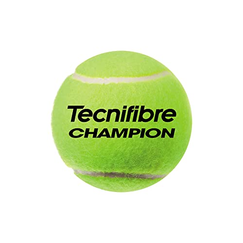 Tecnifibre Champion One Extra Duty Tennis Balls - 24 Cans (72 Balls) Case