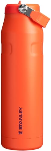 Stanley IceFlow Flip Straw 2.0 Water Bottle 36 oz Tigerlily Plum