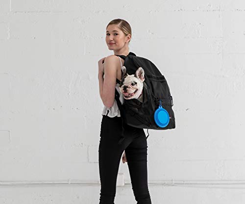 Timbuk2 Muttmover Luxe Dog Carrier Backpack, Medium, Jet Black