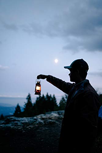 Replacement Lantern Wicks for Kerosene Lanterns - 5 Pack