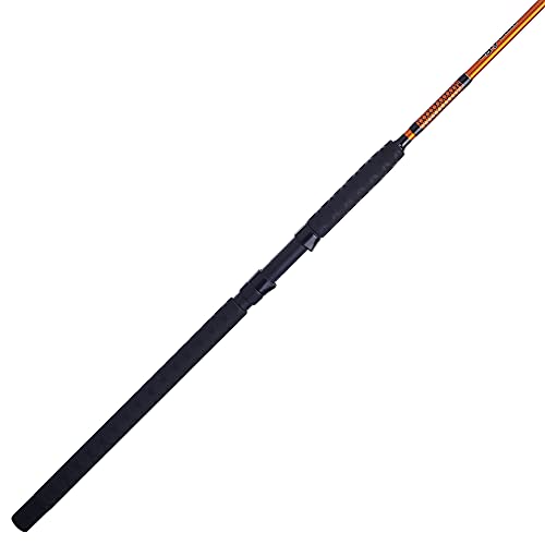 10' Medium Heavy Spinning Fishing Rod for Catfish - 15-40lb, 2pc