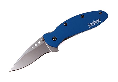 Kershaw Scallion Pocket Knife 1620NB - Black & Gray, 2.4 Inch Stainless Steel Drop Point Blade, Assisted Opening, Made in USA