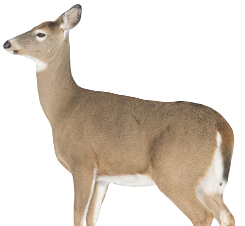 Montana Decoy Dreamy Doe Whitetail Deer Decoy Brown for Hunting