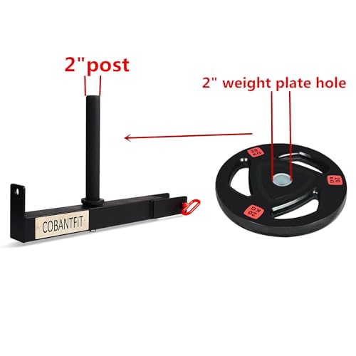 14-Inch Post Length Belt Squat Attachment for Power Racks 2-Inch Weight Plate Hole