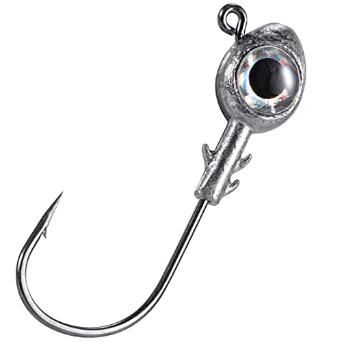 Fishing Jig Heads with 3D Eyes, Saltwater & Freshwater, 1/4oz 3/8oz 1/2oz, 10 Pack