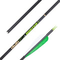 Gold Tip .246 Hunter XT Carbon Hunting Arrows - 300 with 2" Raptor Vanes - Pack of 6