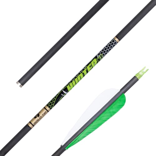 Gold Tip .246 Hunter XT Carbon Hunting Arrows - 300 with 2" Raptor Vanes - Pack of 6