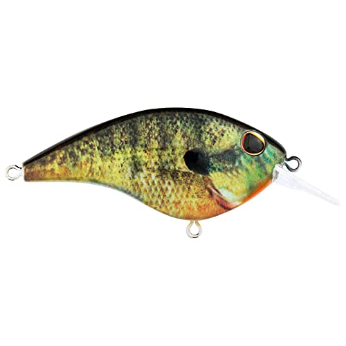 Berkley Frittside Crankbait - HD Bluegill, 2 1/4in, 1/3oz, Hard Bait