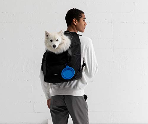 Timbuk2 Muttmover Luxe Dog Carrier Backpack, Medium, Jet Black