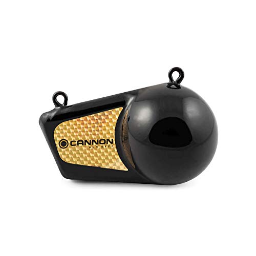 10 Pound Cannon Downrigger Weight for Boat Trolling - Durable Vinyl Coating