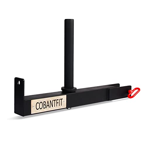 14-Inch Post Length Belt Squat Attachment for Power Racks 2-Inch Weight Plate Hole