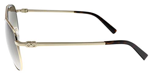Unisex Aviator Sunglasses with Gold Finish and Havana Frames - 60mm
