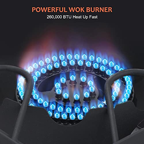 Camplux 260,000 BTU Heavy Duty 2-Burner Propane Camping Stove for Outdoor Cooking