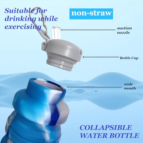 2 Pack Collapsible Water Bottles 500ml with Brush - Black & Aqua Blue