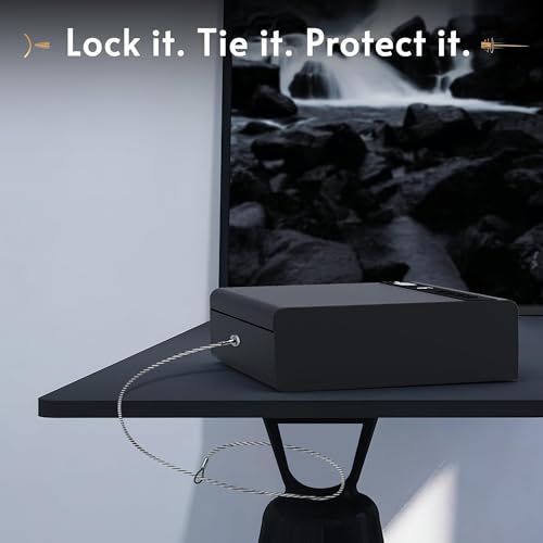 BE-TECH Biometric Gun Safe with App Control & 4-Way Access - SAFE PRO Variation