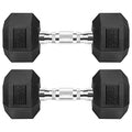 20 lb Pair Rubber Coated Hex Dumbbells for Strength Training - Cast Iron