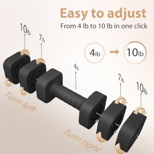 Black 20LB Adjustable Dumbbell Set of 2 for Home Gym Workout - Space Saving