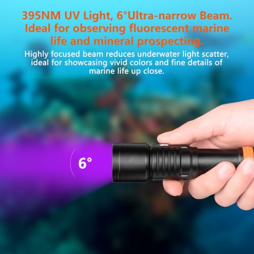 UV Dive Light 395nm Fluorescence Underwater Flashlight for Night Diving – Focused UV Beam, Safety Lock, Marine Inspection
