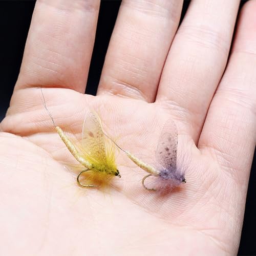 120pcs Fly Fishing Tying Materials Insect Wing Set for Trout DIY