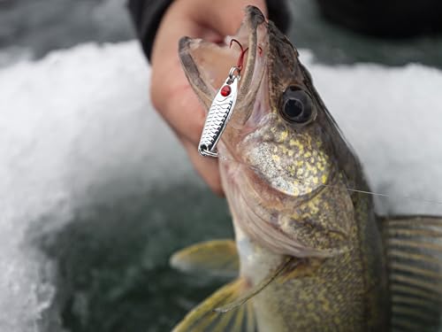 Gold Tungsten Buck-Shot Rattle Spoon ¼ Oz Ice Fishing Lure - Loud Brass Rattle