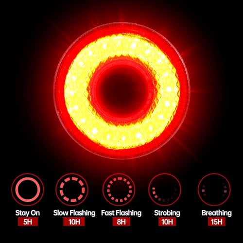 Smart Bike Tail Light with Brake Sensing Auto On/Off USB Rechargeable Waterproof