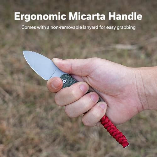 CIVIVI Baby Banter Fixed Blade Knife with Sheath - Green, 2.39" Nitro-V Steel