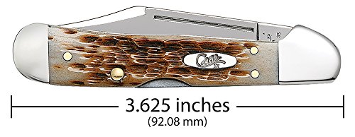 Case XX WR Mini Copperlock Pocket Knife Amber Bone 2.7-inch Lockback with Shield