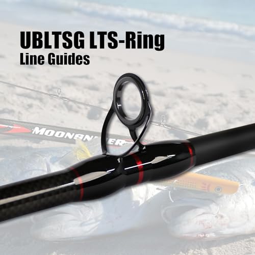 Fiblink 10' Surf Casting Baitcasting Fishing Rod - 2-Piece Carbon Fiber Travel