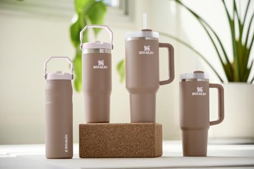 Stanley IceFlow Water Bottle 16 OZ - Insulated Stainless Steel with Built-In Straw | Lightweight & Leak-Resistant | Frost Color