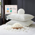 FARINA Queen Size Goose Feather Down Pillows Set of 2 with 600T Cotton Cover
