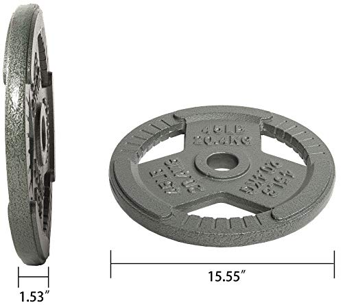 45LB Cast Iron Weight Plate - 2-Inch Standard for Strength Training & CrossFit - Single