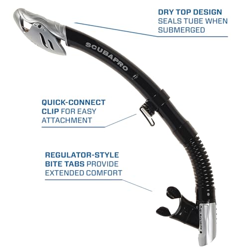Dry Snorkel with Purge Valve and Quick-Connect Clip - Silver