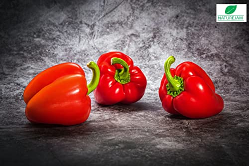 16oz Dehydrated Red Bell Peppers Bulk Bag - Sweet, Crushed & Dried Spice