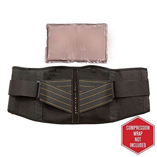 Copper Fit Hot Cold Therapy Replacement Insert for Back Support Brace
