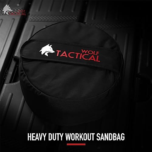 100 LB Sandbag Workout Bag for Strength Training and Fitness