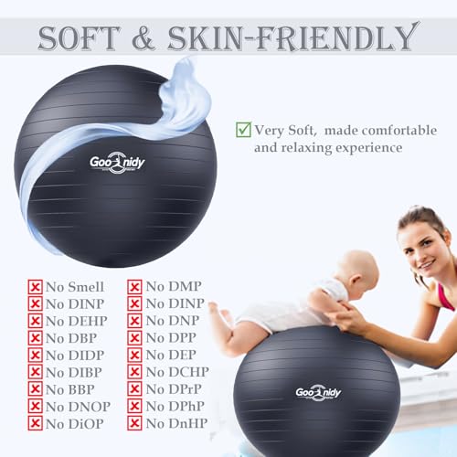 Black Exercise Ball 19-22 Inch Pilates Yoga Ball Chair with Pump