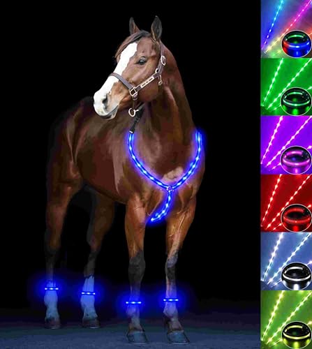 LED Horse Breastplate & Leg Band Set - Multi-Color Light Up Equestrian Tack for Night Riding