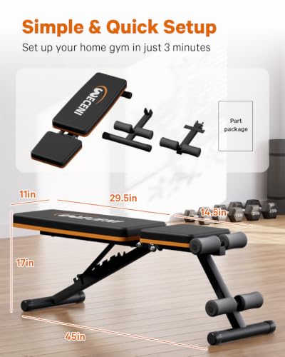 Adjustable Heavy-Duty Workout Bench with 660LBS Capacity, Foldable Multi-Position Gym Bench for Home Strength Training