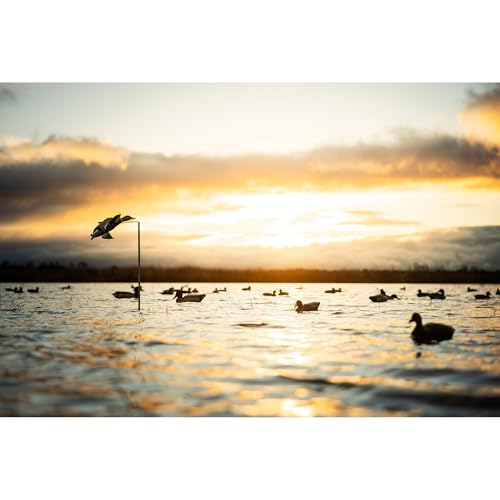 Wind-Activated Duck Decoy with Spinning Wings for Waterfowl Hunting