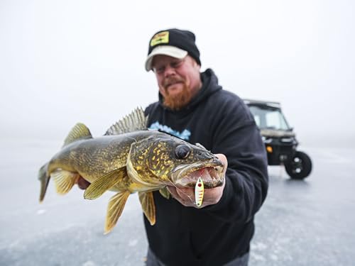 Gold Tungsten Buck-Shot Rattle Spoon ¼ Oz Ice Fishing Lure - Loud Brass Rattle