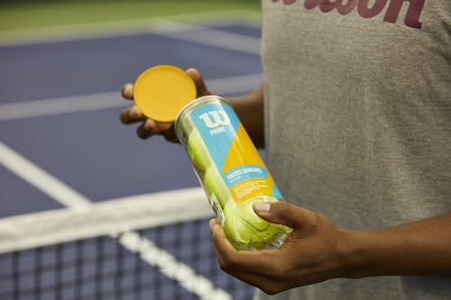 Wilson Profile All Court Tennis Balls - Yellow, 24 Can Case (72 Balls)