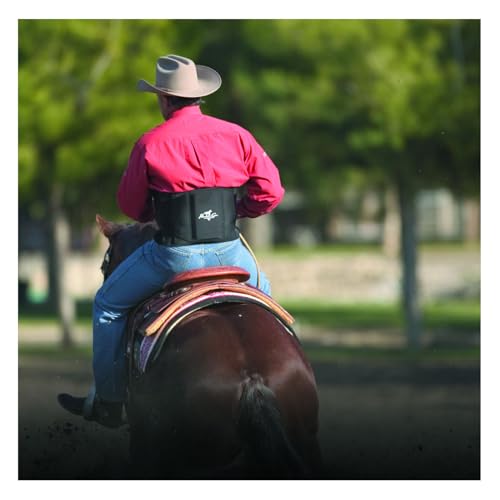 Professional's Choice Large Black Low Back Support Brace - Comfort Fit, Neoprene