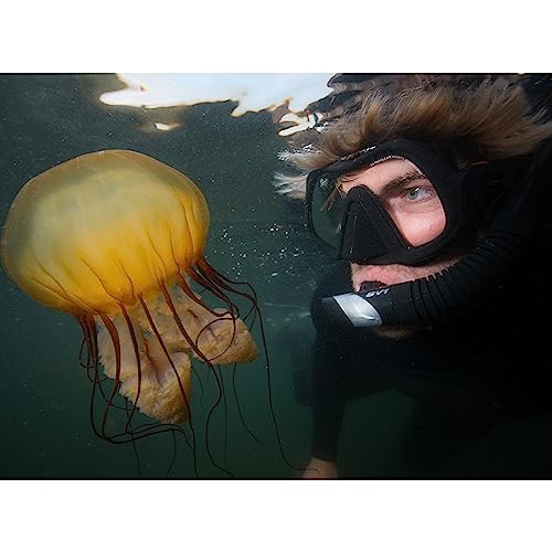 Atomic Venom Frameless Scuba Diving Mask Black - Ultra-Clear Lens, Rigid Silicone Skirt, Comfortable Fit