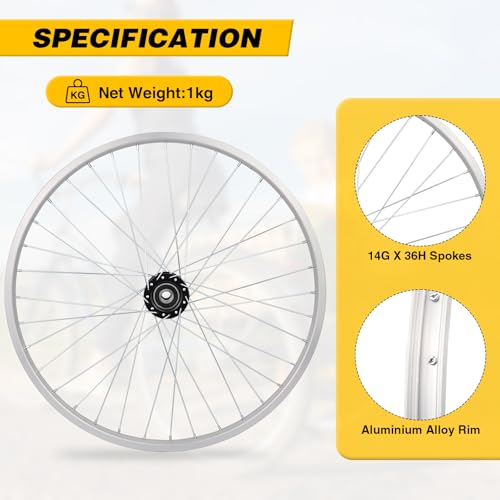 WEEROCK 26 Inch Adult Tricycle Wheelset - Right Rear Alloy Wheel for 3-Wheel Bikes