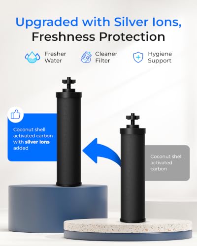 Waterdrop Silver Ions Black Water Filter Replacement for Berkey BB9-2 — Includes 2 Filters