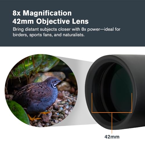 Binoculars 8x42 Outland X for Birding & Nature Viewing – Celestron