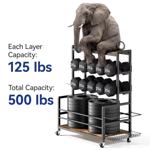 Home Gym Dumbbell & Equipment Storage Rack with Casters, 500 lbs Capacity