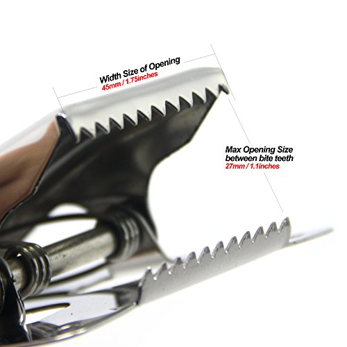 Fish Clamp for Fillet Table and Bait Station - Deep-Jaw Stainless Steel Fish Cleaning Board Tools - Variation of THIS listing